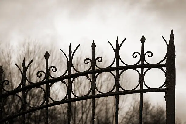 Photo of Detail of silhouetted cast iron gate.