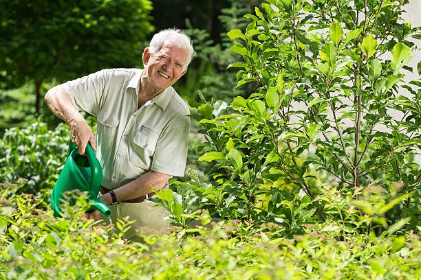 istock Happy to cultivate plants 519495724