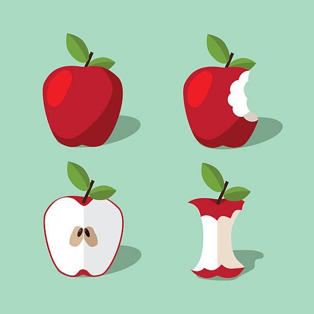 ilustraciones, imágenes clip art, dibujos animados e iconos de stock de icono de apple colección. - apple