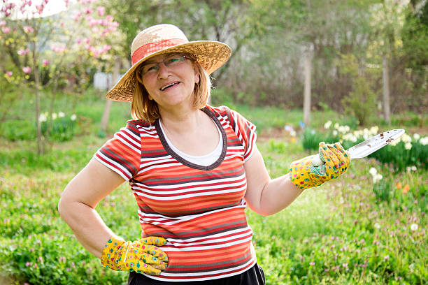 istock Active Senior Woman Gardening 519501502