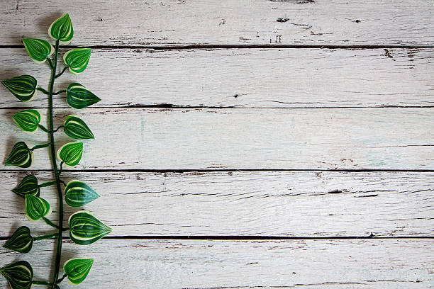 istock flowers on wooden background 519502674