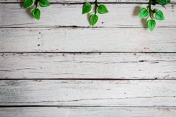 istock flowers on wooden background 519503078