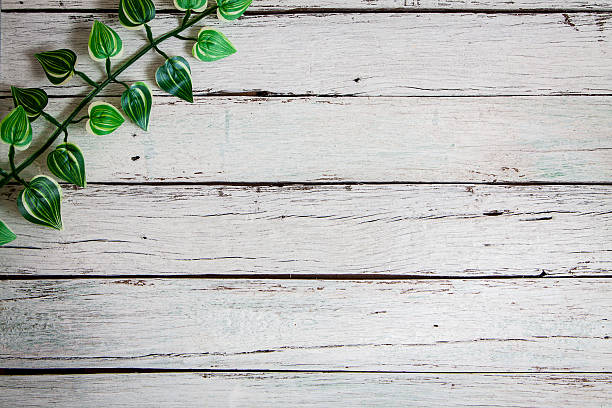 istock flowers on wooden background 519503220
