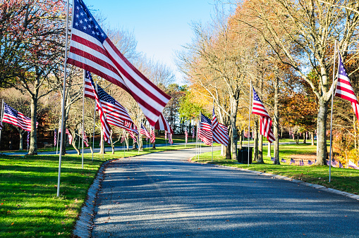 American flags are installed along a roadway entering a National Veteran's Cemetary