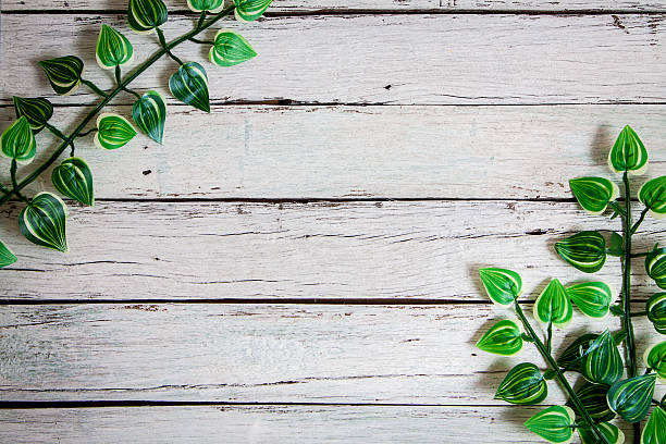 istock flowers on wooden background 519503306