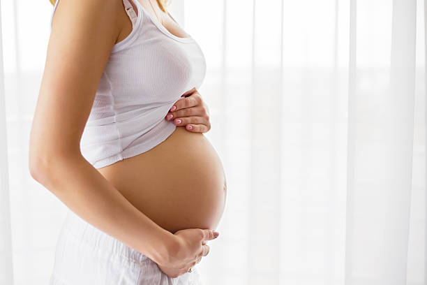 mujer embarazada de pie junto a la ventana - abdomen humano fotografías e imágenes de stock