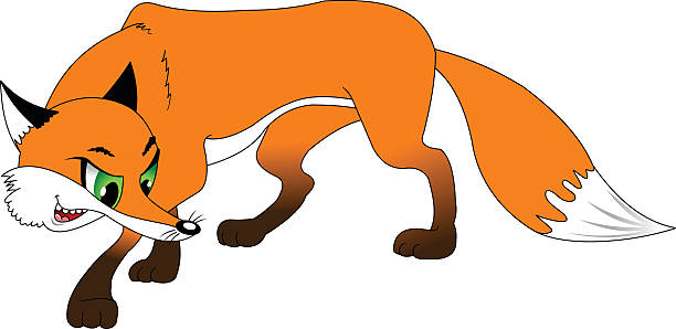 fox vector art illustration