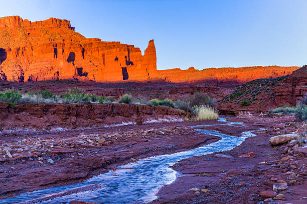 istock Water Brings Precious Life to the Desert 519505336