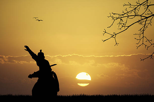 Samurai at sunset illustration of samurai at sunset martial arts photos stock illustrations