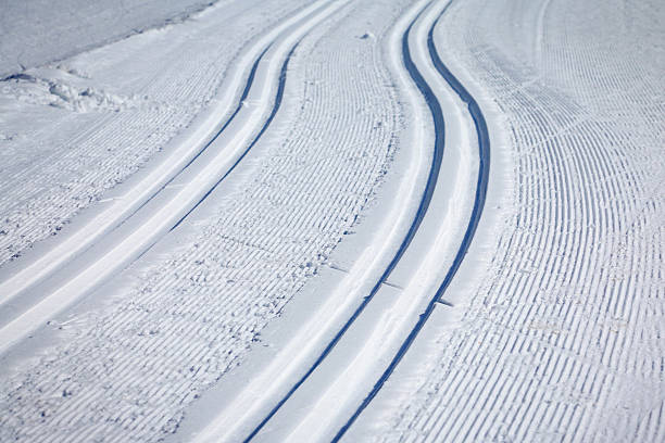 istock Cross Country Ski Tracks in Engadin 519506048