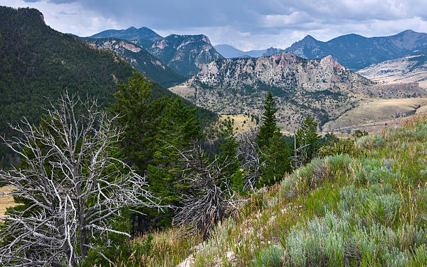 istock Beartooth mountains, Red Lodge, Montana, USA. 519506979