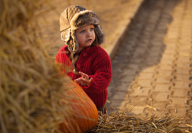 istock Small girl picking big pumpkin 519507073