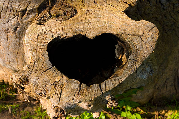 istock Wooden heart 519508487