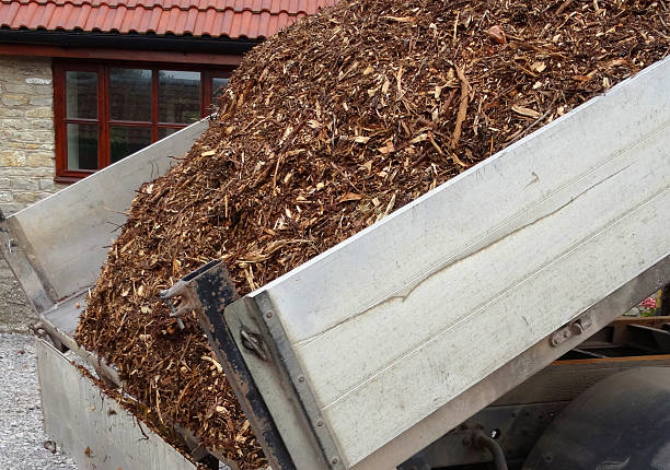 Photo showing a pile of bark mulch / wood chips compost on a truck / lorry, being unloaded from the van for a garden landscaping project.  This bark mulch is the by-product of a tree surgeon business.