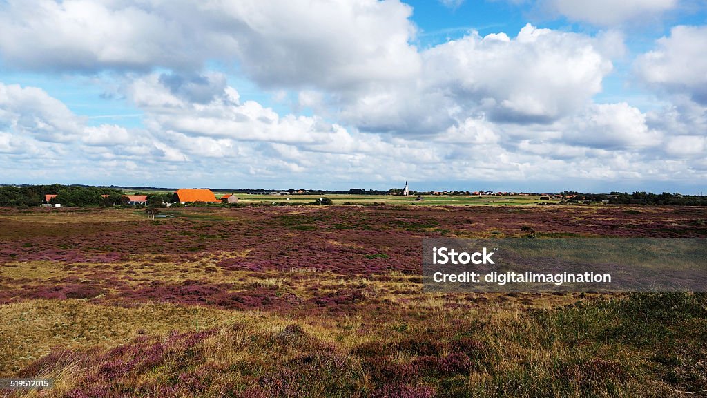 Landscape at the Wadden Island Texel Landscape of `De Bollenkamer`, Texel, Netherlands. Texel is one of the wadden islands. The wadden islands are Unesco heritage Europe Stock Photo