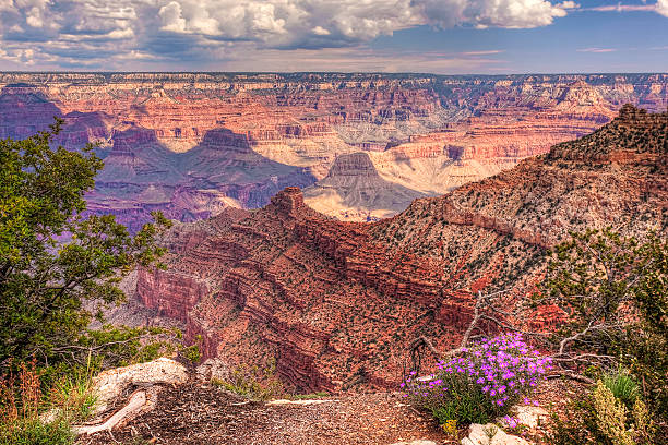 istock Beautiful morning at the Grand Canyon 519521298