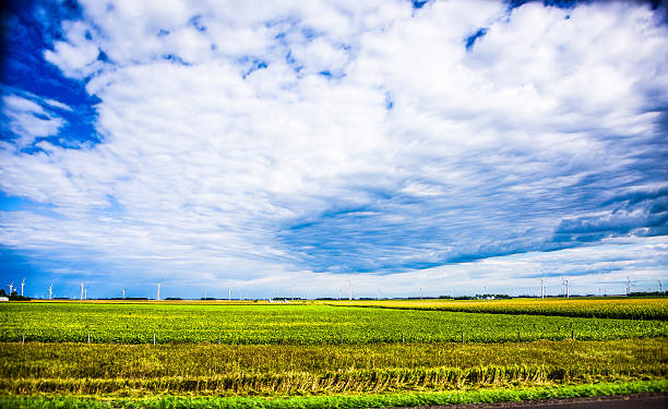 Minnesota Spring Background 2,400+ Minnesota Spring Landscape Stock Photos, Pictures & Royalty-Free ...