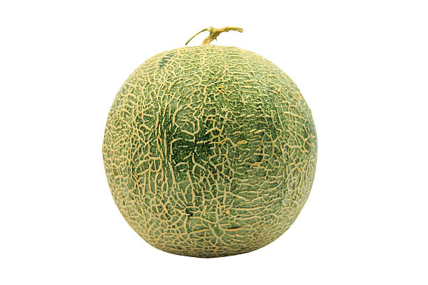 istock melon from Japan isolated on white background 519522122