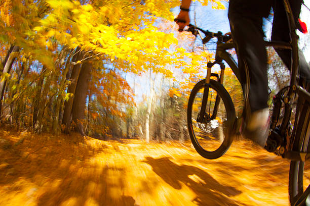 istock Mountain biking along a trail in the bright sun. 519523112