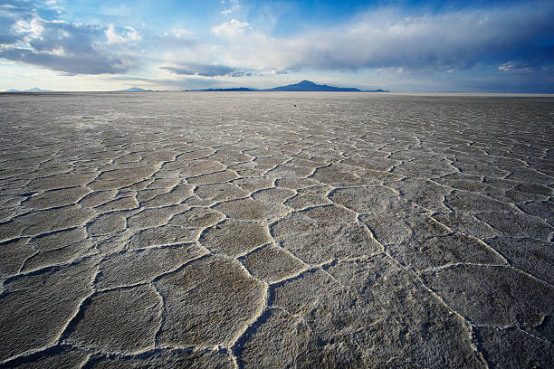 istock Salar de Uyuni in the Andes 519524410