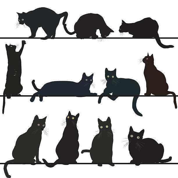 검은 고양이 - silhouette animal black domestic cat stock illustrations