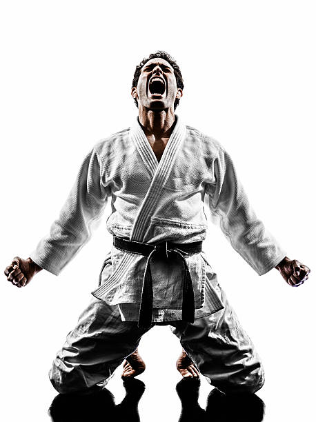 istock judoka fighter man silhouette 519529275