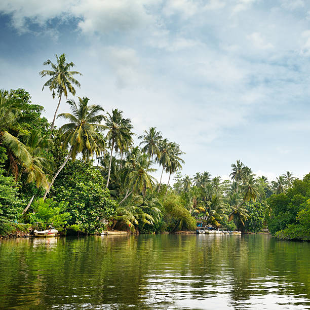 istock Equatorial forest and boats on the lake 519529454