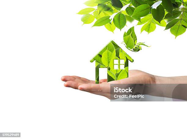 Think Green Stock Photo - Download Image Now - Architecture, Branch - Plant Part, Business