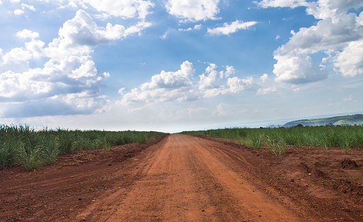 A lonely road