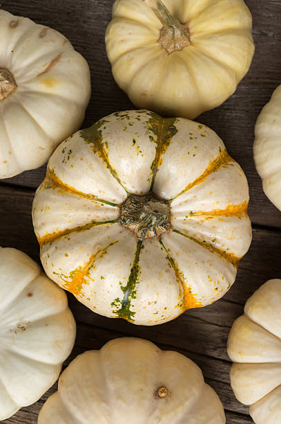 White Pumpkins in Group