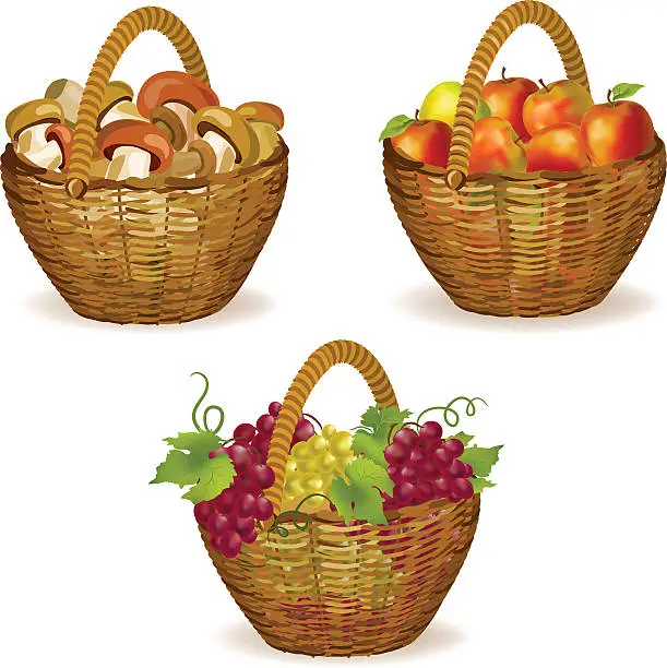 Vector illustration of set of wicker baskets with fruits, mushrooms