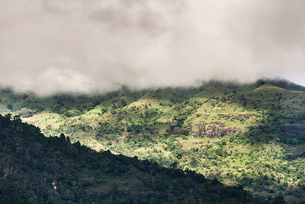 istock mountain forest and raining fog 519532650