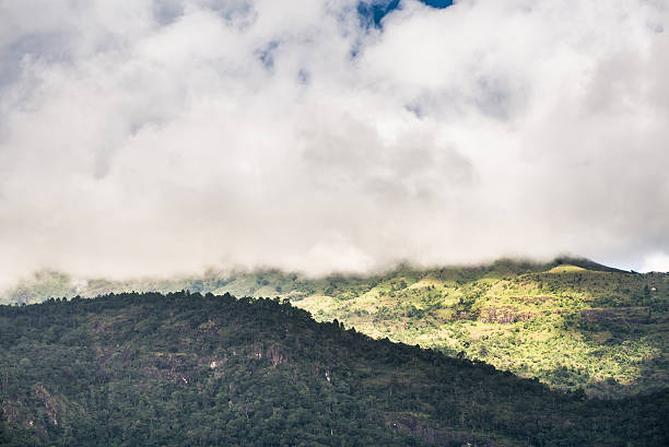 istock mountain forest and raining fog 519532816