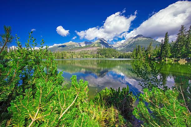 View to Strbske pleso  in High Tatras during summer, Slovakia stock photo