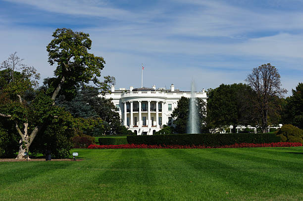 istock white house, Washington DC in oktober with colorful trees 519533617