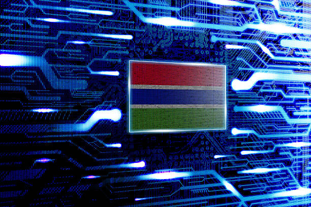 istock Gambia national official state flag 519533803
