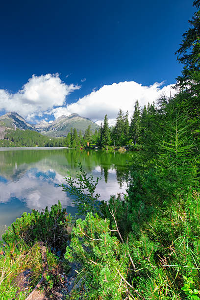 View to Strbske pleso in High Tatras during summer, Slovakia stock photo