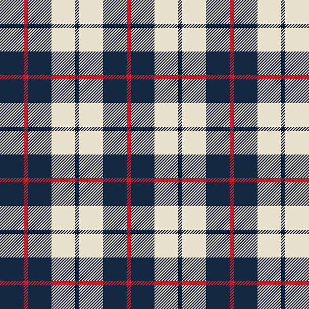 niebieski i biały tekstura tkanina w kwadrat wzór bezszwowe - wallpaper textile retro revival tartan stock illustrations