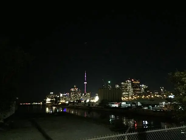 Night view of the toronto skyline