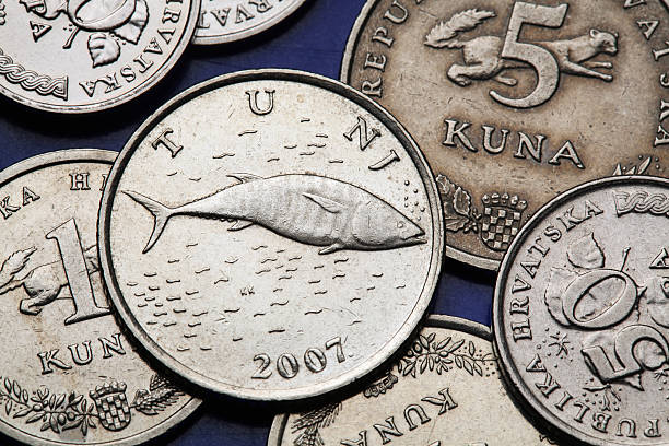 istock Coins of Croatia 519534953