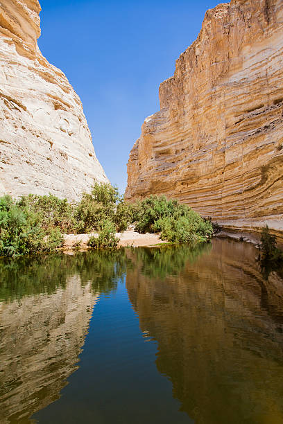 istock landscape of deep ravines 519534975