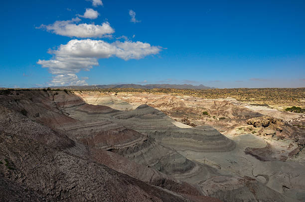 istock Ischigualasto rock formations in Valle de la Luna, Argentina 519543731