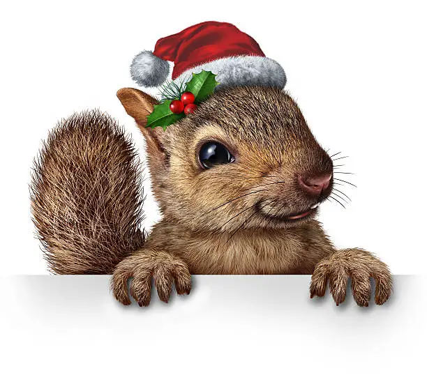Photo of Holiday Squirrel