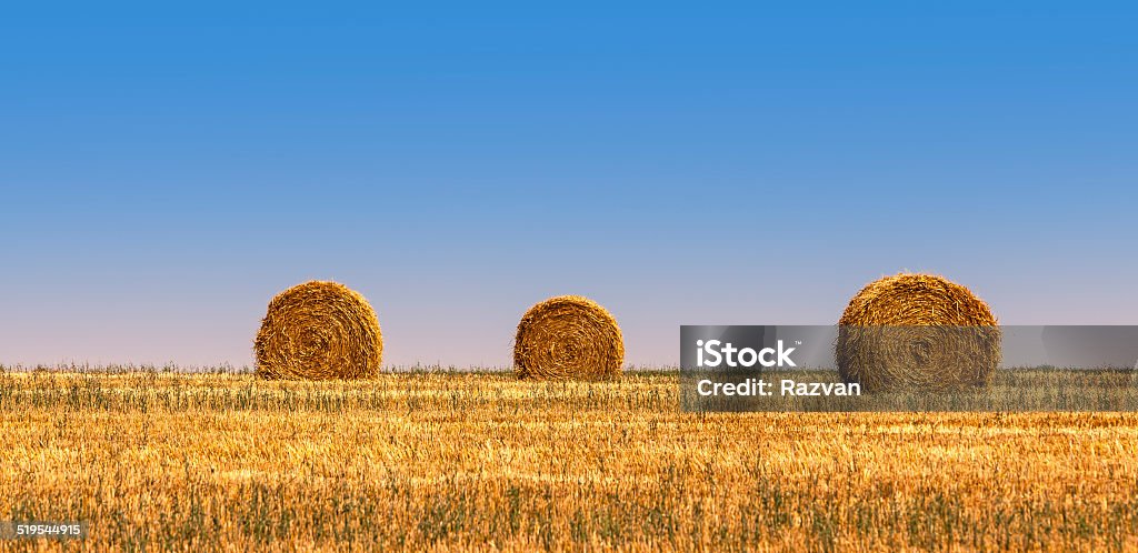 There Are Bales Three hay bales on a field in summer. Agricultural Field Stock Photo