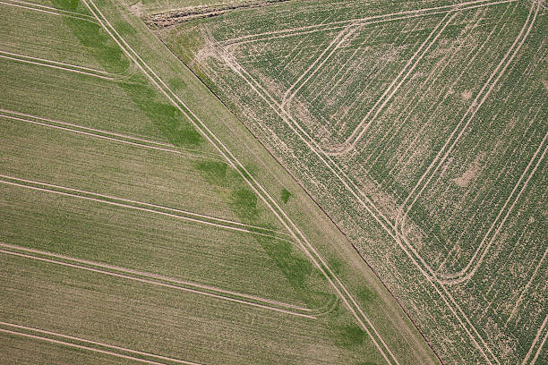 istock aerial view of the harvest fields in springtime 519547174