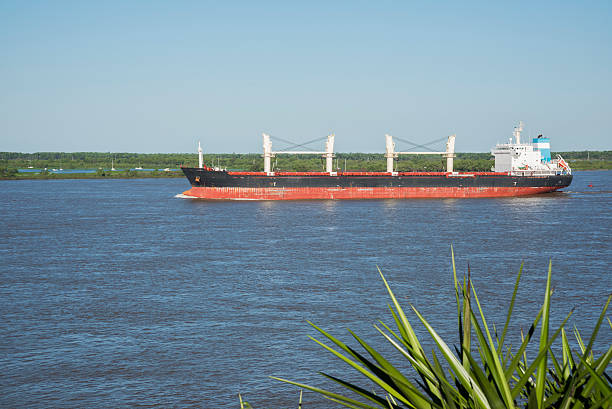 Ship on Parana River stock photo