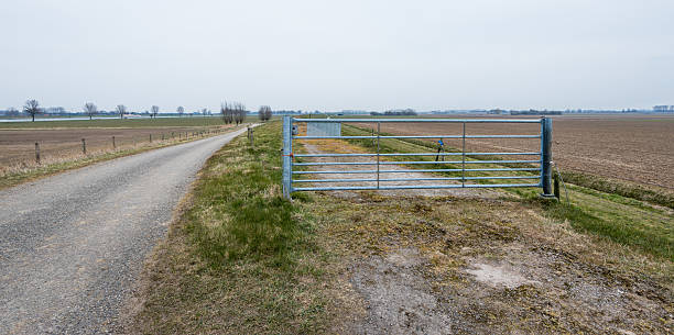 istock Long country road and an iron gate 519547743