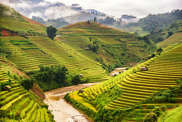 bela paisagem vista de arroz terraço em mu cang chai - hani imagens e fotografias de stock