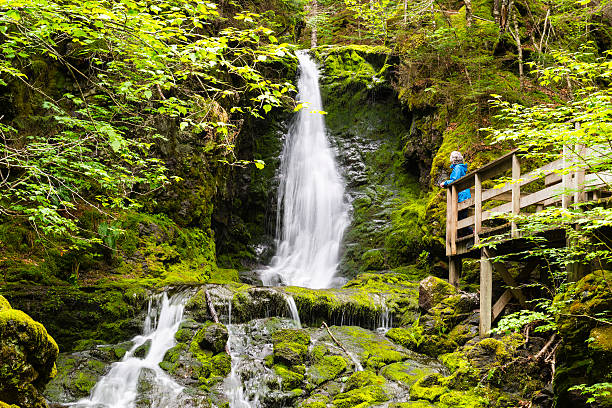 Woman looking at waterfall, Fundy National Park