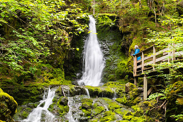 Woman looking at waterfall, Fundy National Park stock photo